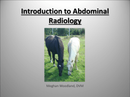Normal Abdominal Radiographic Anatomy
