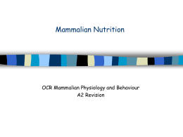 Mammalian Nutrition