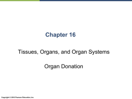 Chapter 16: Tissues, Organs, and Organ Systems