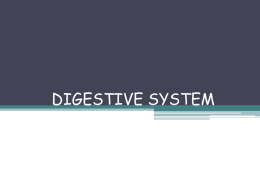 DIGESTIVE SYSTEM