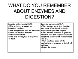 WHAT DO YOU REMEMBER ABOUT ENZYMES AND DIGESTION?