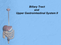 Biliary Tract and Upper Gastrointestinal System II