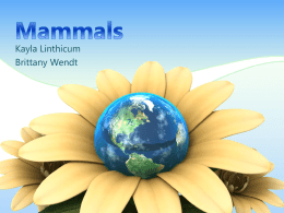 Mammals - District 158