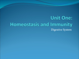 Unit One: Homeostasis and Immunity