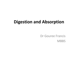 Digestion and Absorption Mechanical process Chemical process