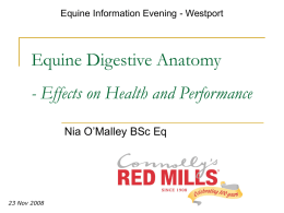 Equine Digestive Anatomy - Effects on Health and Performance