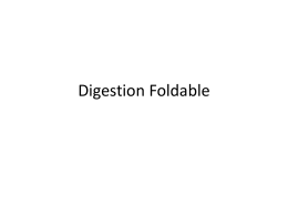 Digestion Foldable - Mrs. Basepayne's Science Spot