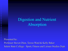 Digestion and Nutrient Absorption