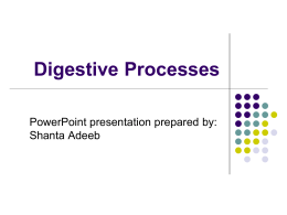 Digestive Processes - Rutgers Food Science