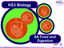 8A Food and Digestion - Montgomery High School, Blackpool