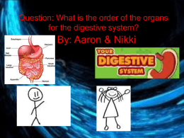 Question: What is the order of the organs for the
