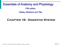 Digestive System IDigestive System II