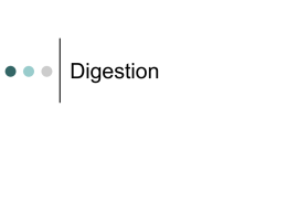 Digestion - Biology