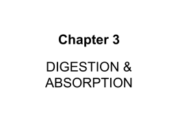 Digestion & Absorption