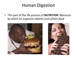 Unit 21.1 Human Digestion PowerPoint