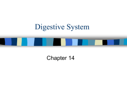Anatomy_and_Physiology_files/Digestive notes