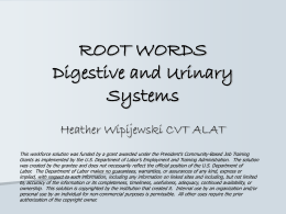 root words - Workforce Solutions