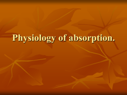 Lecture 36. Physiology of absorption