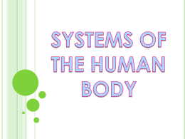 systems of the human body