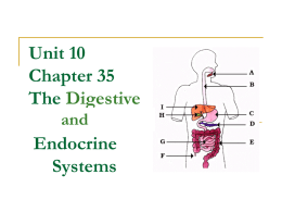 Unit 10 Chapter 35 The Digestive and Endocrine Systems