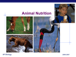 Ch35nutrition02