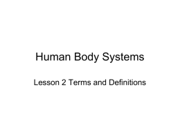HBS Lesson 2 - terms and def