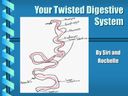 PowerPoint Presentation - Your Twisted Digestive System