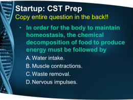Startup: CST Prep