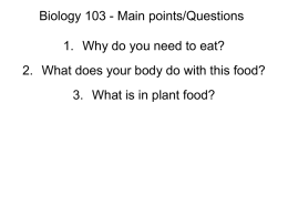 Lecture 10 - Nutrition