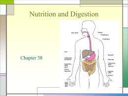 Nutrition and Digestion - Jamestown School District