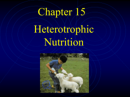 2005 nutrition AlCh15a