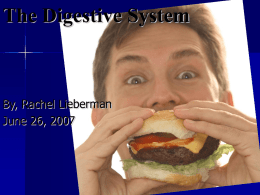 The Digestive System - Etiwanda E