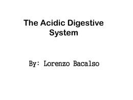 THE acidic digestive system