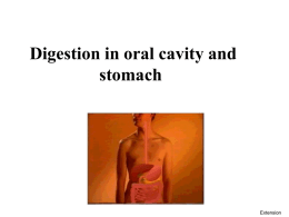 01 Digestion in oral cavity and stomach