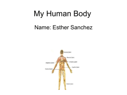 My Human Bodystud