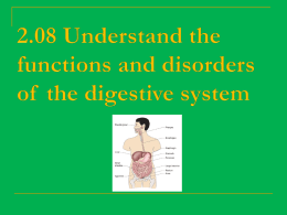 Understand the functions of the digestive system