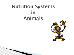 animal nutrition propia