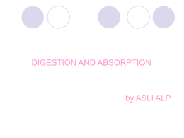 DIGESTION AND ABSORPTION