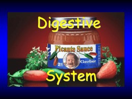 Adv Bio #14 - Digestive System 9th ed rev 14x