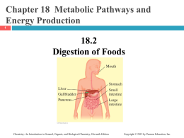CH_18_2_Digestion_Foods