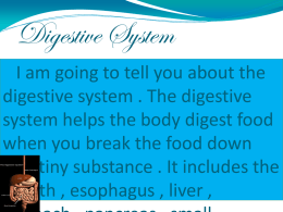 Digestive System I am going to tell you about the digestive system