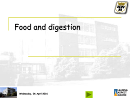 Food and digestion