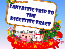 Fantastic Trip to the Digestive Tract - TangHua2012-2013