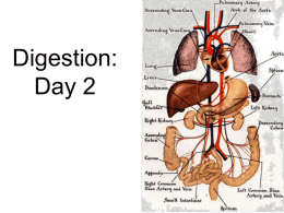 Digestion2