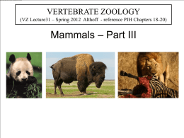 MAMMALOGY AS A SCIENCE