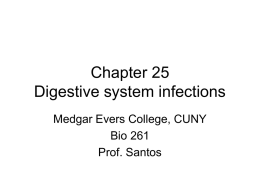 Chapter 25 Digestive system infections