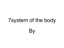 7system of the body