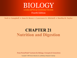 Chapter 21: Digestion
