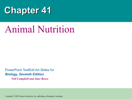 41 Animalnutri