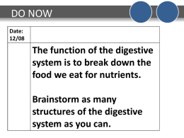 Review Presentation on the Digestive System